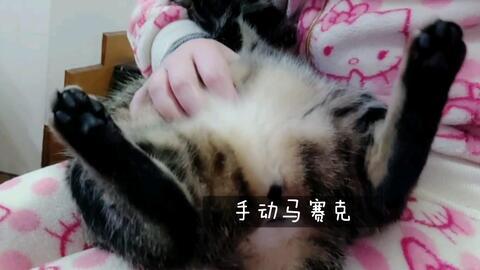 揉捏肚子视频,肚子舒适度UP！