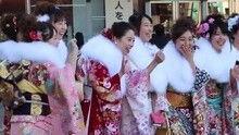 成年的少女在线播放,揭秘成年少女在线播放的神秘世界