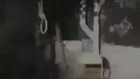 鬼森森视频,揭秘神秘恐怖事件背后的惊悚真相
