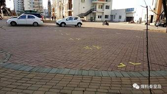 家园小区爆料视频最新