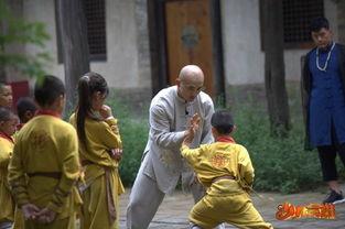 少林英雄 在线播放,传奇武僧的在线激战之旅