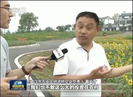 娱乐圈爆料今日新闻联播,今日新闻联播聚焦娱乐圈热点事件