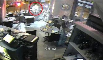 天天日视频在线