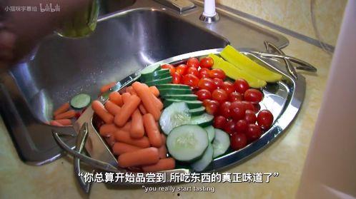 素食主义者手机在线播放,手机播放的绿色美食之旅