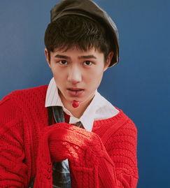 成都昊然爆料最新消息今天,揭秘今日热点事件内幕