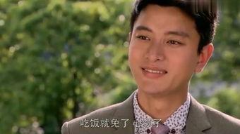 少帅免费观看 ed2k,揭秘红色传奇背后的风云岁月