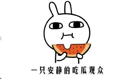 坐等吃瓜啥意思