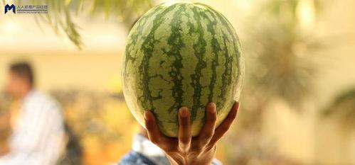 娱乐圈大瓜吃瓜